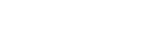 Фин миг